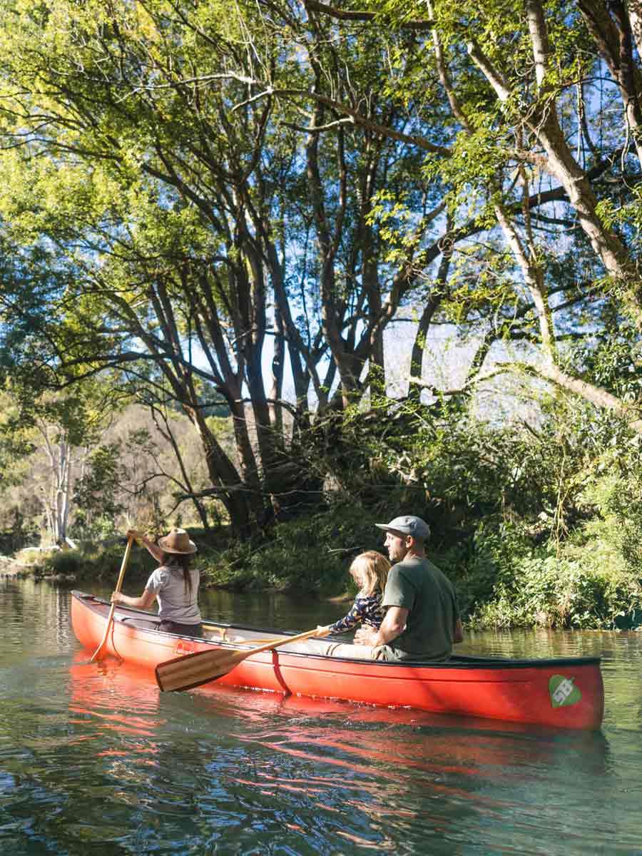 Father rowing with family on Australian river
